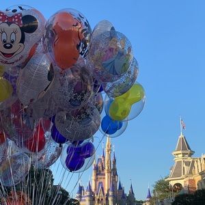 Meet your Posher, Suzanne